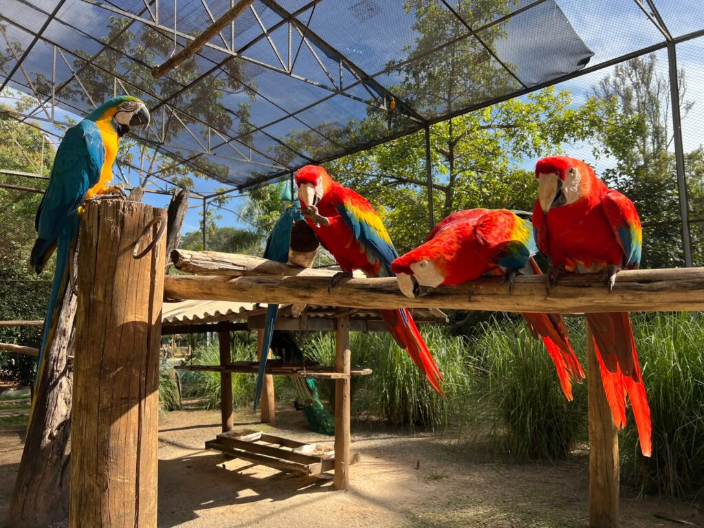 Zoológico de Goiânia