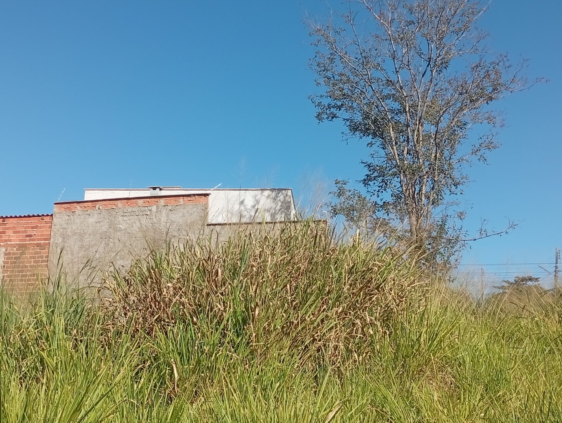 Portaria reforça que proprietários são responsáveis pela limpeza de lotes em Aparecida
