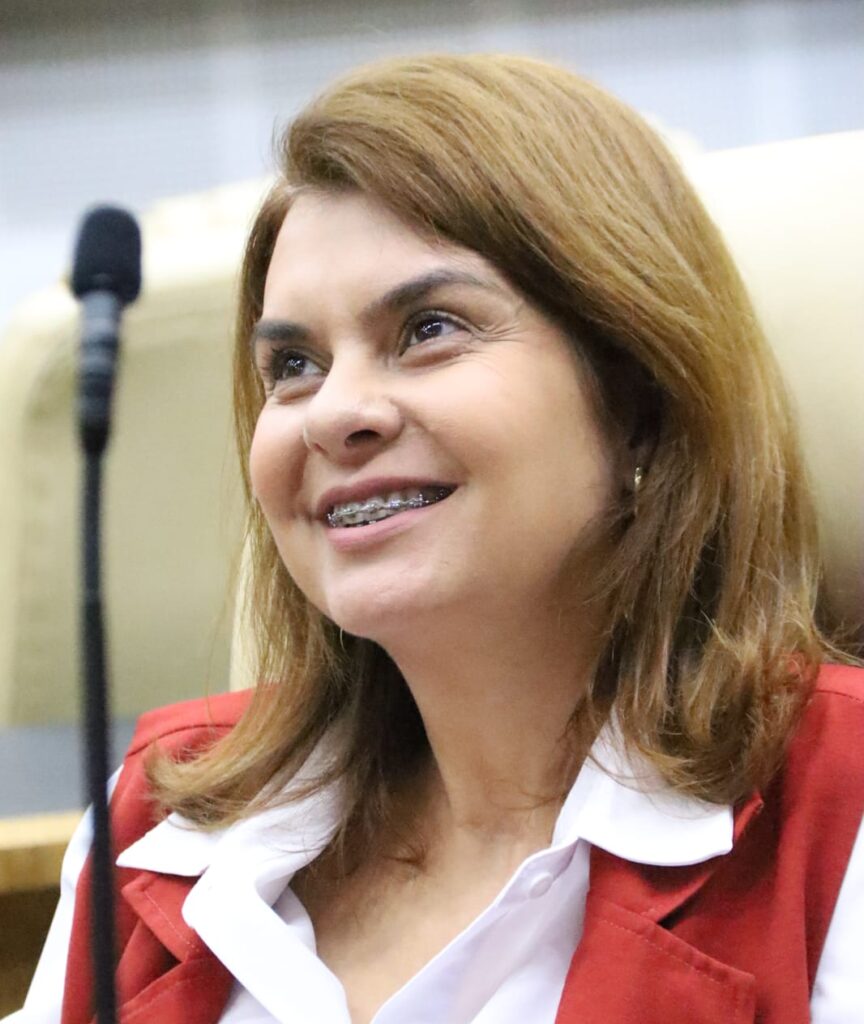 Professora Ludmylla, Câmara de Goiânia