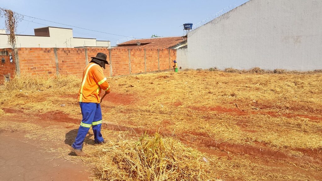 Servidor limpa lote Goiânia